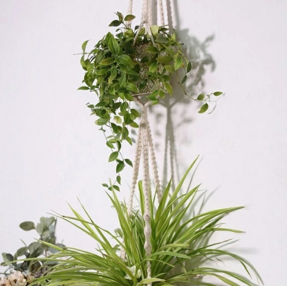 Double Layered Macrame Plant Hanger - Picture 2 of 4